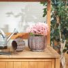 Set of 2 Decorative Cement Flower Pots with Leaf Design - Perfect for Indoor and Outdoor Gardening