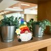 Garden Rainbow Gnome Resin Statue – Faceless Miniature Decor