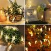 1pc; Photo Clip String Lights Home Decor Indoor/Outdoor; Battery Powered String Lights Lamp Decor 9.85ft 20LED (Not Included Battery)