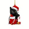 Acrylic Christmas Hat Cat Decoration – Indoor & Outdoor Holiday Decor