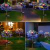 1 Pack Solar Firework Light Outdoor – IP65 Waterproof Solar Garden Flower Light with 8 Lighting Modes