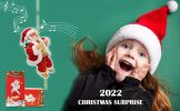 Electric Climbing Santa with Music – Plush Santa Ladder Decoration