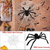 Halloween Decorations Spider – 59" Scary Outdoor Spider with 126" Tarantula Web