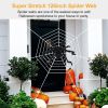 Halloween Decorations Spider – 59" Scary Outdoor Spider with 126" Tarantula Web