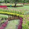 Fir Wood Garden Bridge – Arc Walkway with Side Railings, 60" x 26.5" x 19"