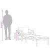 Sun Lounger with Cream White Cushions, Solid Acacia Wood
