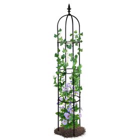 6.2 ft Garden Obelisk Trellis – Rustproof Plastic-Coated Metal Climbing Plant Support