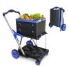 2-Tier Folding Shopping Cart with Wheels and Collapsible Storage Crates