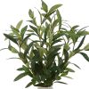 14in Indoor Artificial Olive Plant in Two-Tone Ceramic Vase
