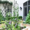 6.2 ft Garden Obelisk Trellis – Rustproof Plastic-Coated Metal Climbing Plant Support