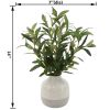14in Indoor Artificial Olive Plant in Two-Tone Ceramic Vase