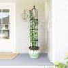 6.2 ft Garden Obelisk Trellis – Rustproof Plastic-Coated Metal Climbing Plant Support