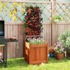 2-in-1 Wooden Raised Garden Bed with Trellis - Solid Wood (Waterproof Teak Oil), 16"x16"x48" Size
