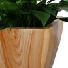 2-Pack Smart Self-Watering Planter Pots, Square Cone, Light Wood Finish, Indoor & Outdoor