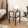 24 Inch 2-Tier Square Glass Coffee Table with Storage Shelf – Transparent & Brown