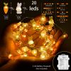 Bunny Carrot LED String Lights – Battery Operated Holiday Outdoor Decor