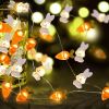 Easter Bunny String Lights, Battery Operated Rabbit Lights for Indoor & Outdoor Decor