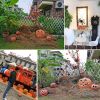 LED Halloween Pumpkin Lights – Battery Operated Jack O’ Lantern Decor