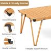Folding Camping Table Picnic Table with Storage Bag and Waterproof Desktop