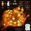 Bunny Carrot LED String Lights – Battery Operated Holiday Outdoor Decor