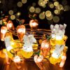 Easter Bunny String Lights, Battery Operated Rabbit Lights for Indoor & Outdoor Decor