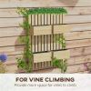 Wall-Mounted Garden Trellis Planter Box for Balcony