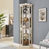 Lighted Corner Glass Curio Cabinet with Adjustable Shelves