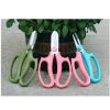 Stainless Steel Floral Garden Shears with Ergonomic Handle
