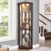 Lighted Corner Glass Curio Cabinet with Adjustable Shelves